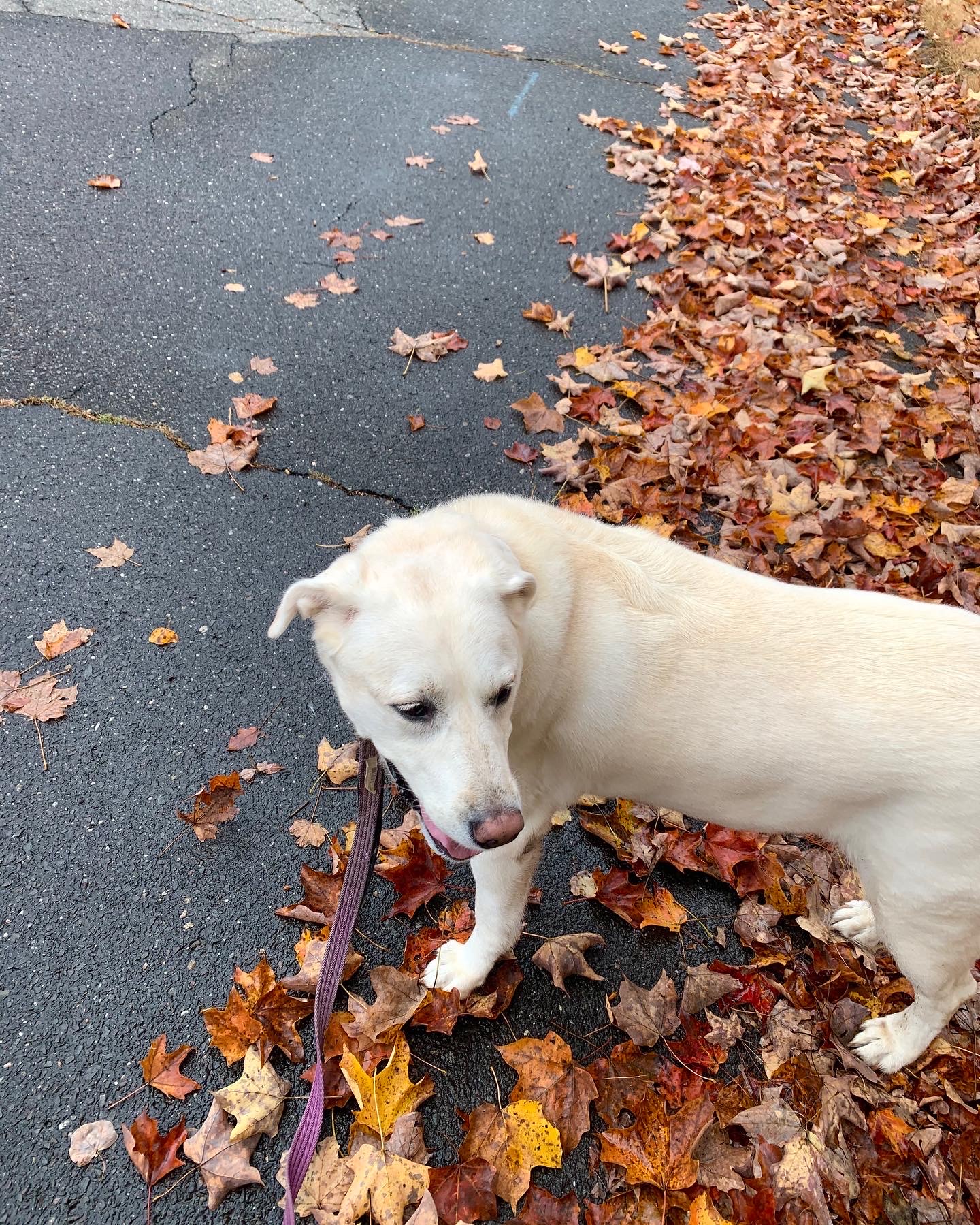 91e39bbe 2783 483f 9e1d 7de2fe2ad916